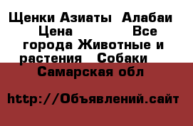 Щенки Азиаты (Алабаи) › Цена ­ 20 000 - Все города Животные и растения » Собаки   . Самарская обл.